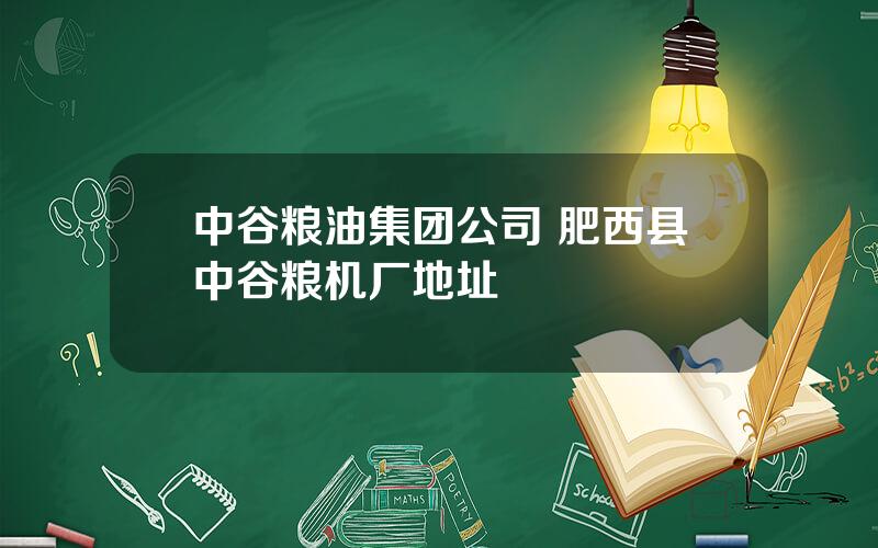 中谷粮油集团公司 肥西县中谷粮机厂地址